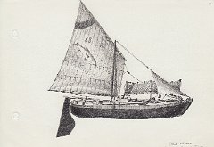 100-Topo istriano - da modellino del Museo del Mare di Trieste
